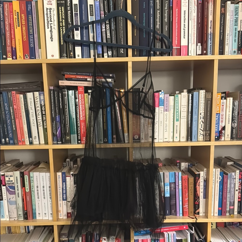 Urban Outfitters Sheer Black Sheer Dress